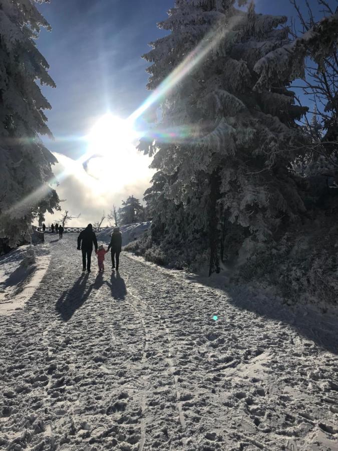 Dom Goscinny Finezja Świeradów-Zdrój Esterno foto