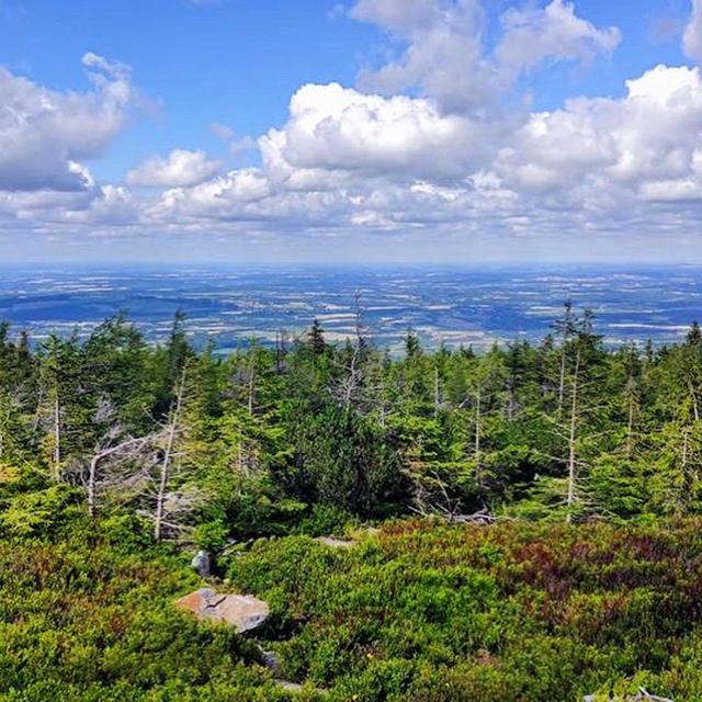 Dom Goscinny Finezja Świeradów-Zdrój Esterno foto
