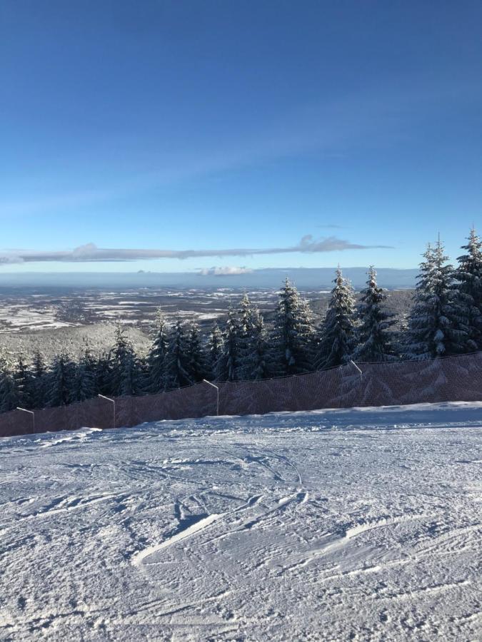 Dom Goscinny Finezja Świeradów-Zdrój Esterno foto