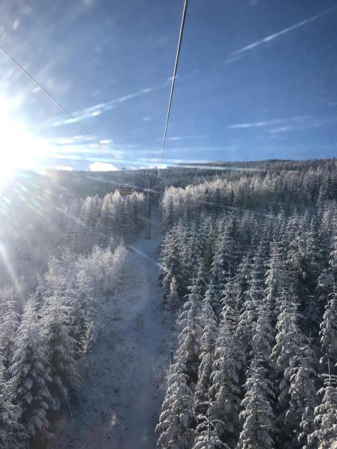 Dom Goscinny Finezja Świeradów-Zdrój Esterno foto